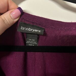 Lane Bryant Maroon V-Neck Sweater (Size 26/28)